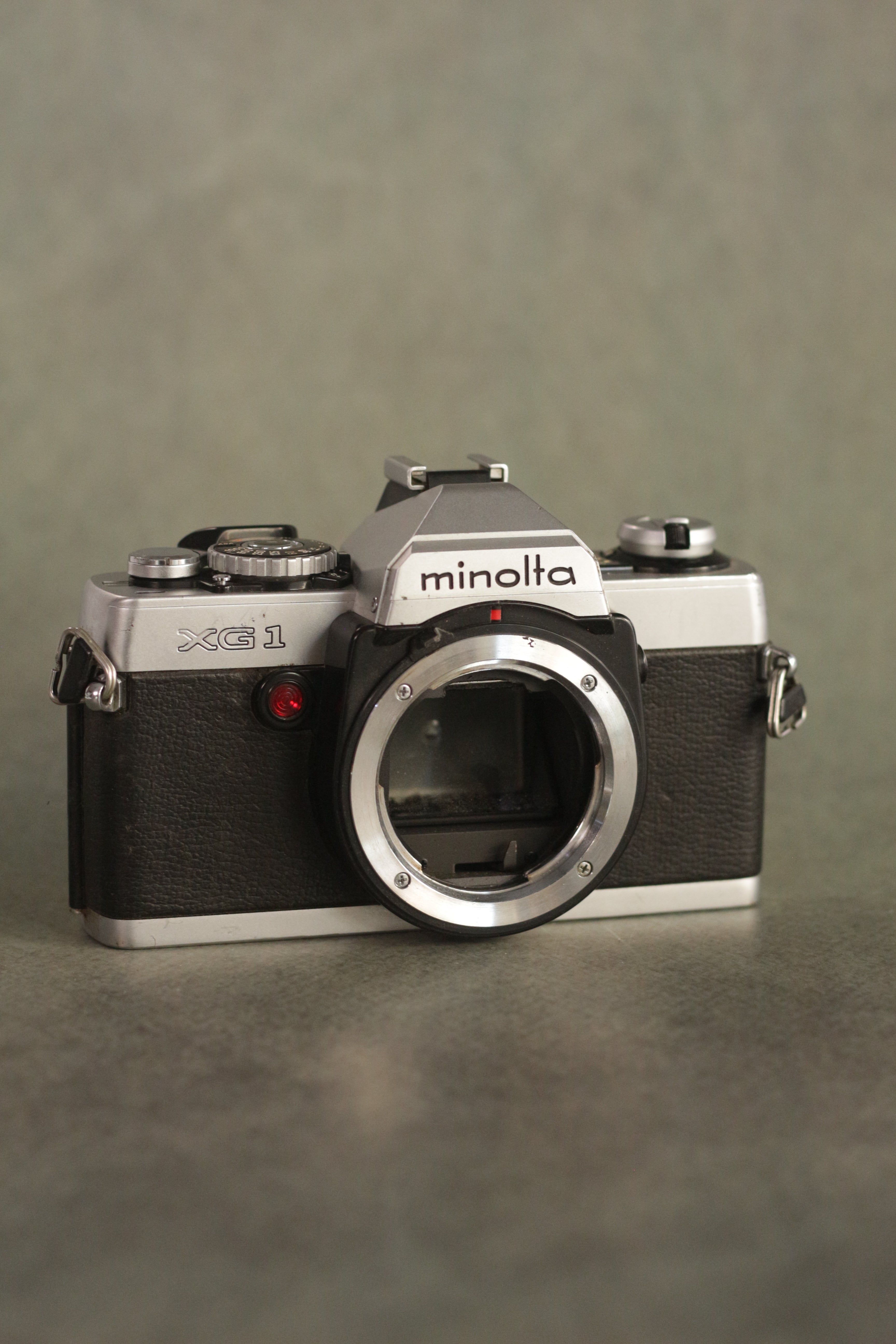 Minolta XG-1 + Minolta MC Rokkor-PG 50mm F1.4