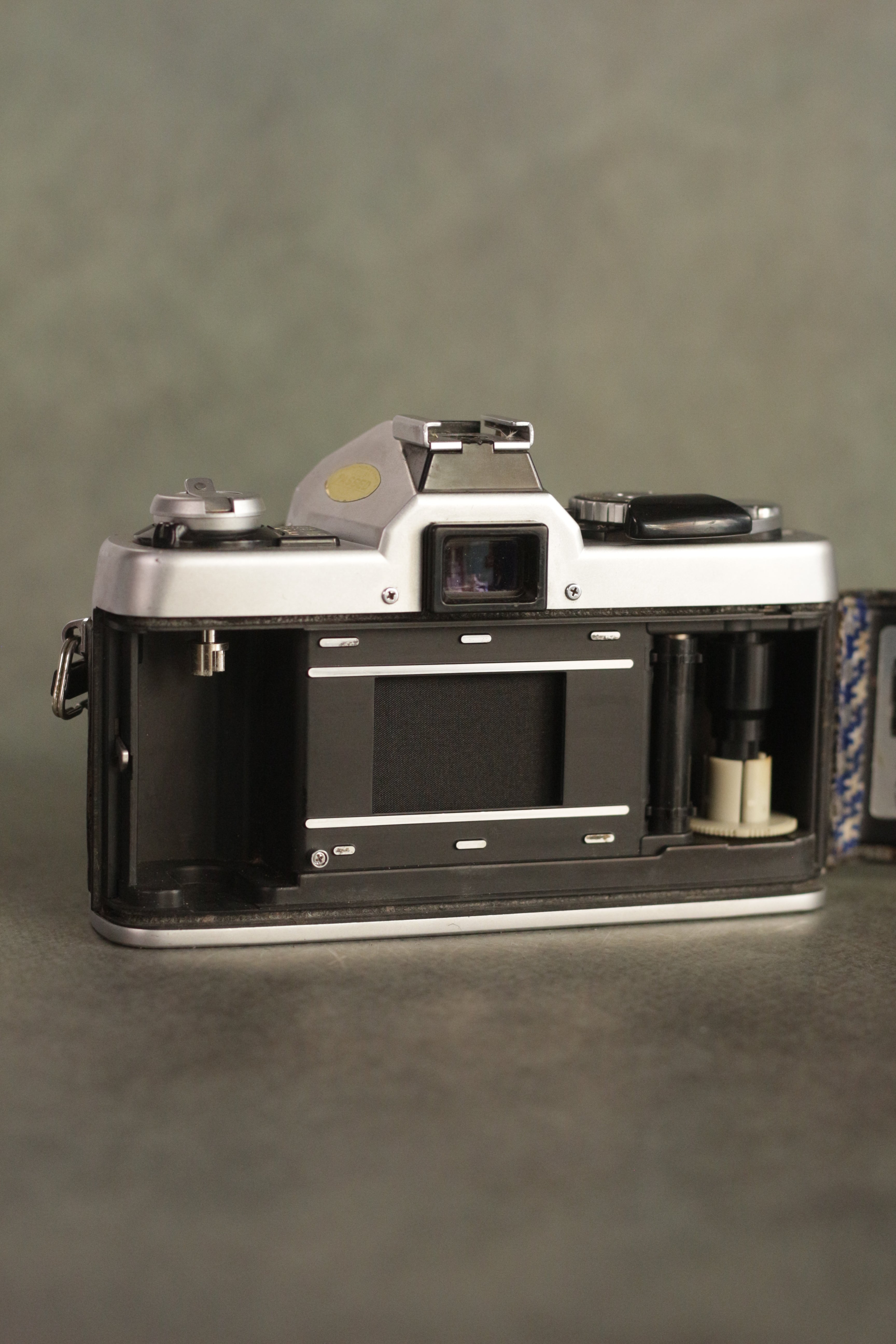 Minolta XG-1 + Minolta MC Rokkor-PG 50mm F1.4