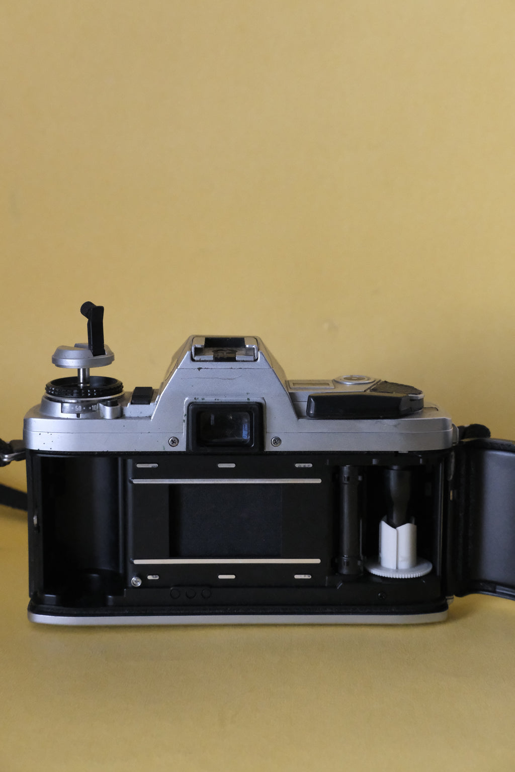 Minolta X-300 + Minolta MD Rokkor 50mm f/1.4