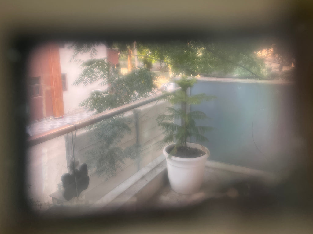 Voigtländer Vito Automatic II