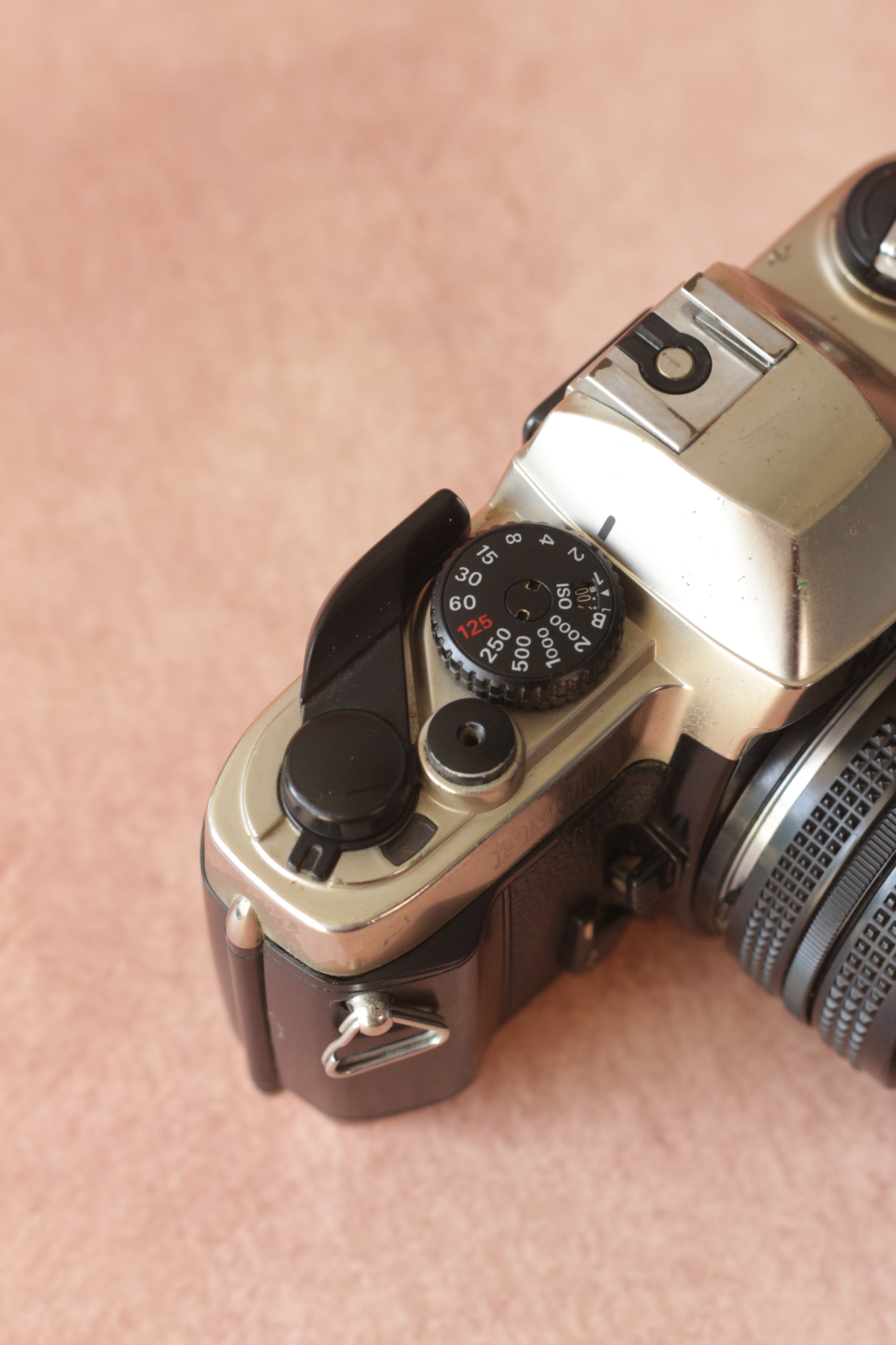 Nikon FM10 + Nikkor 35-70mm zoom