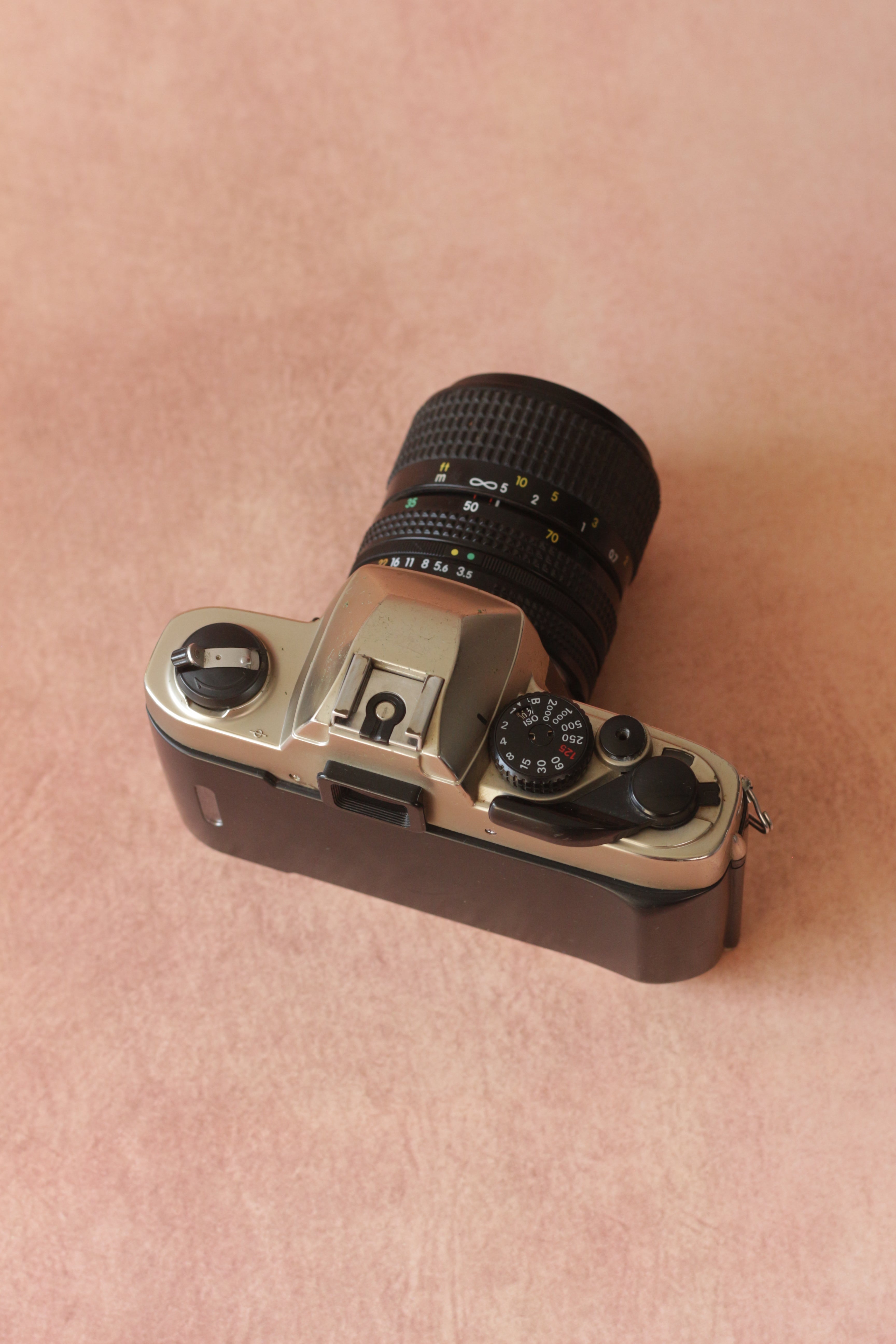 Nikon FM10 + Nikkor 35-70mm zoom