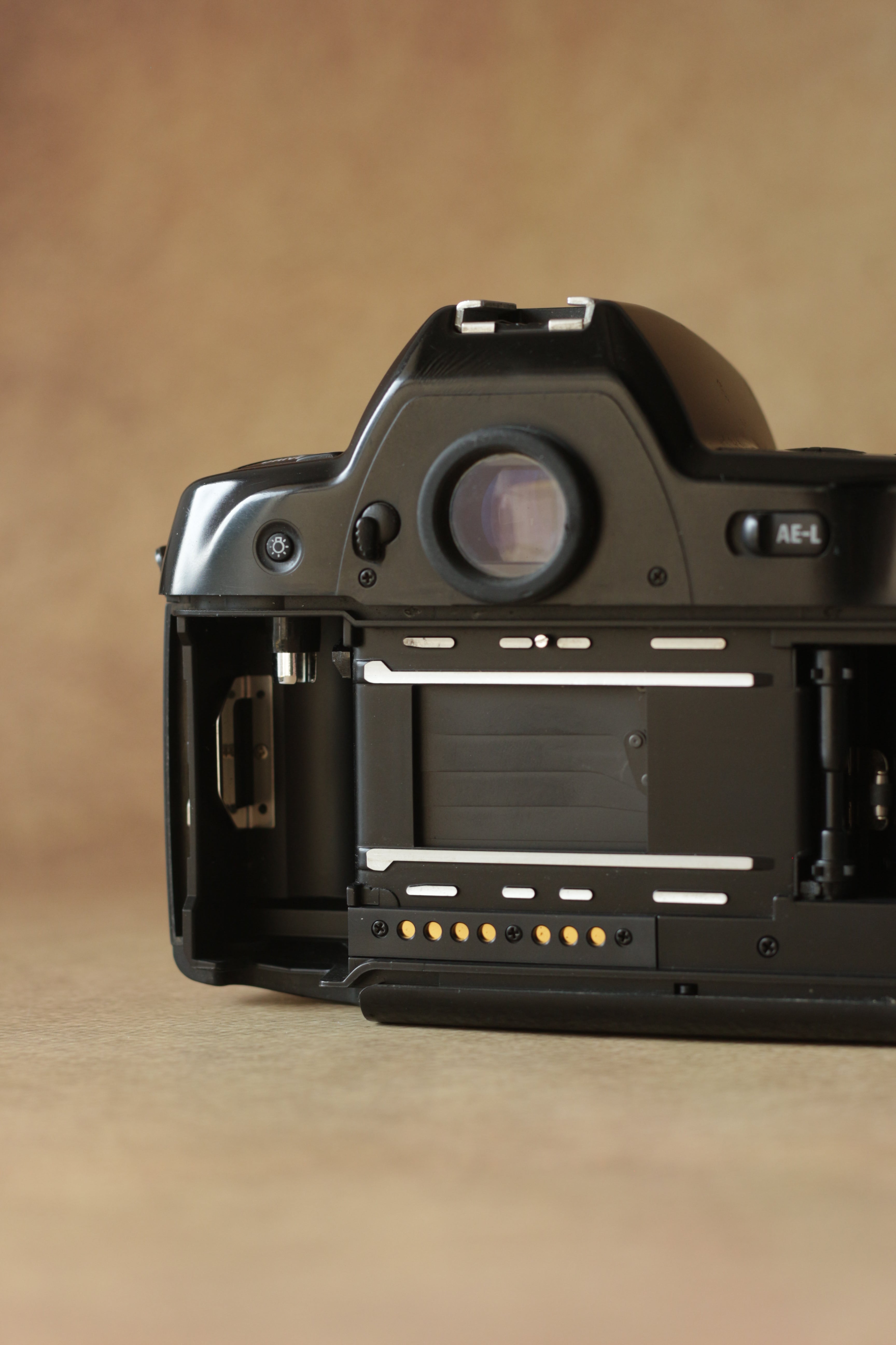 Nikon F90X + Nikkor AF 50mm f/1.4D