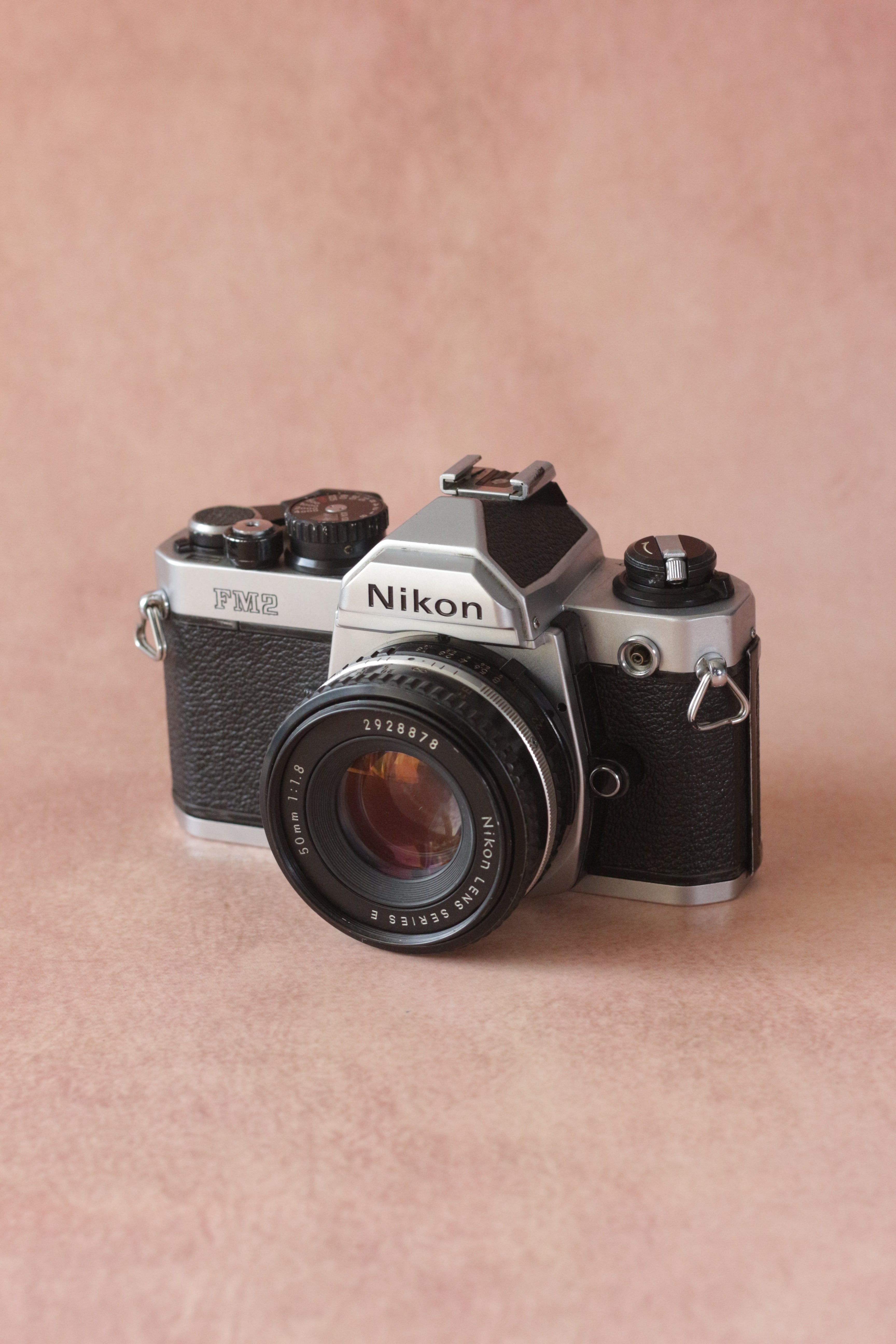 Nikon FM2n + Nikkor Series E 50mm F1.8