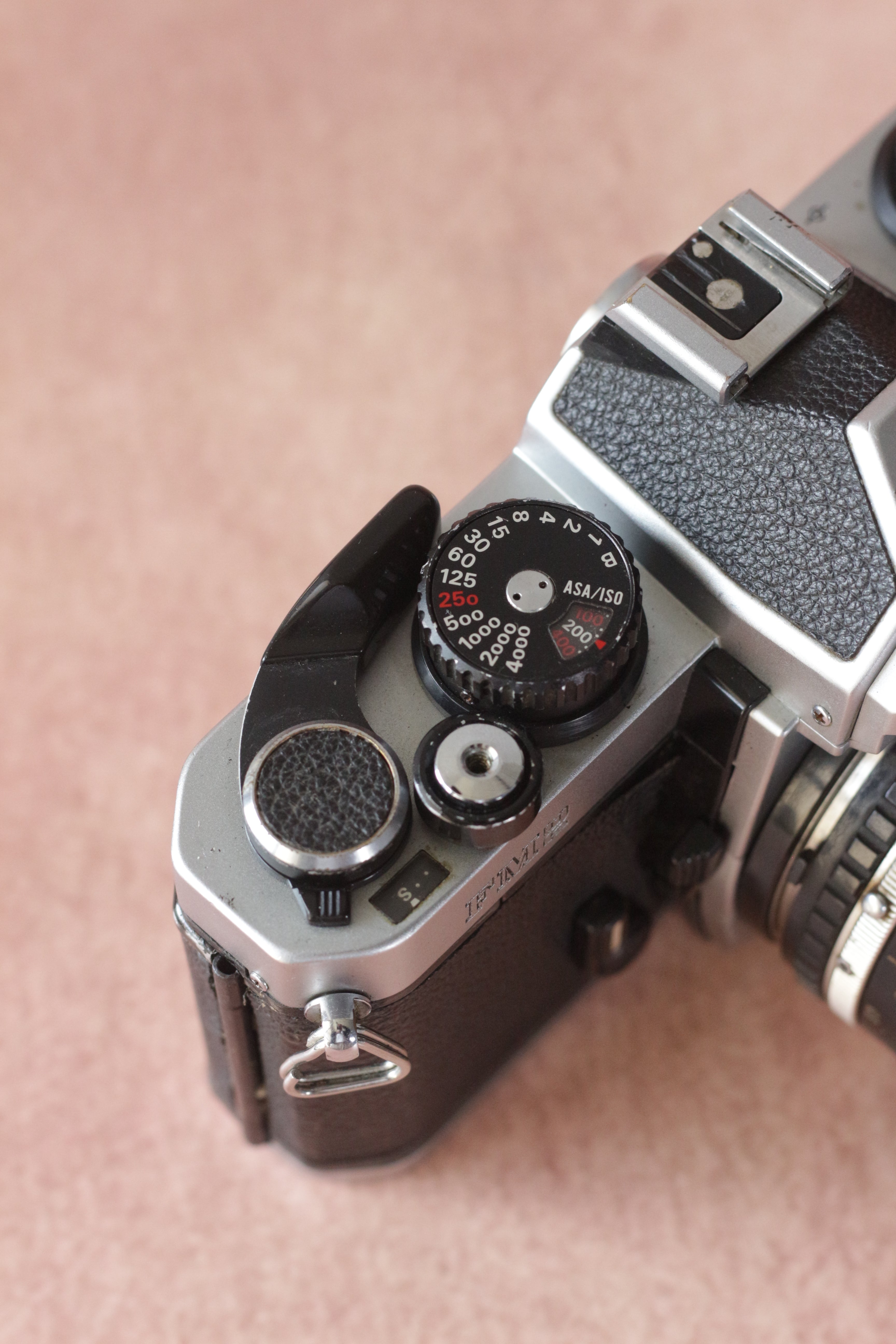 Nikon FM2n + Nikkor Series E 50mm F1.8