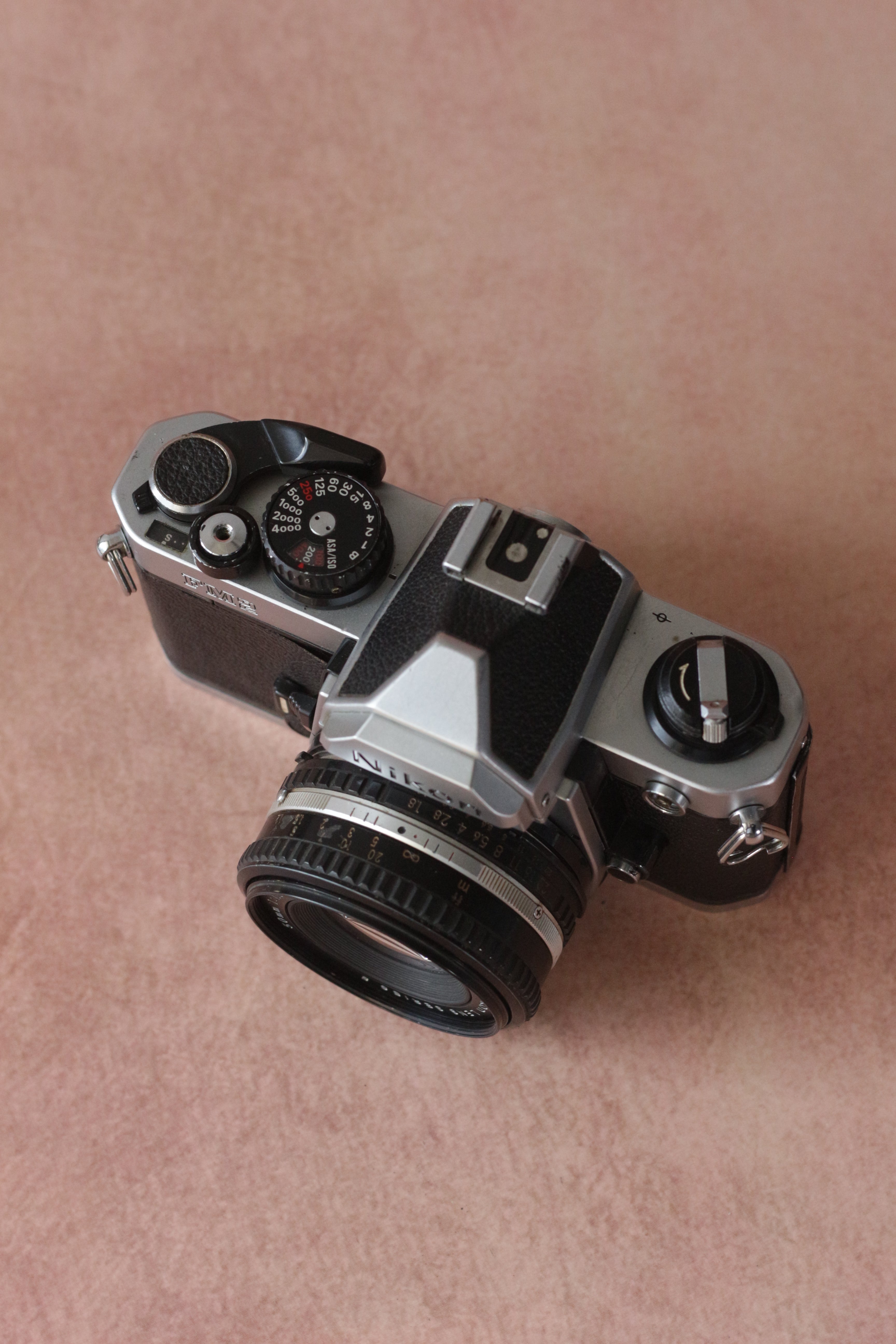 Nikon FM2n + Nikkor Series E 50mm F1.8