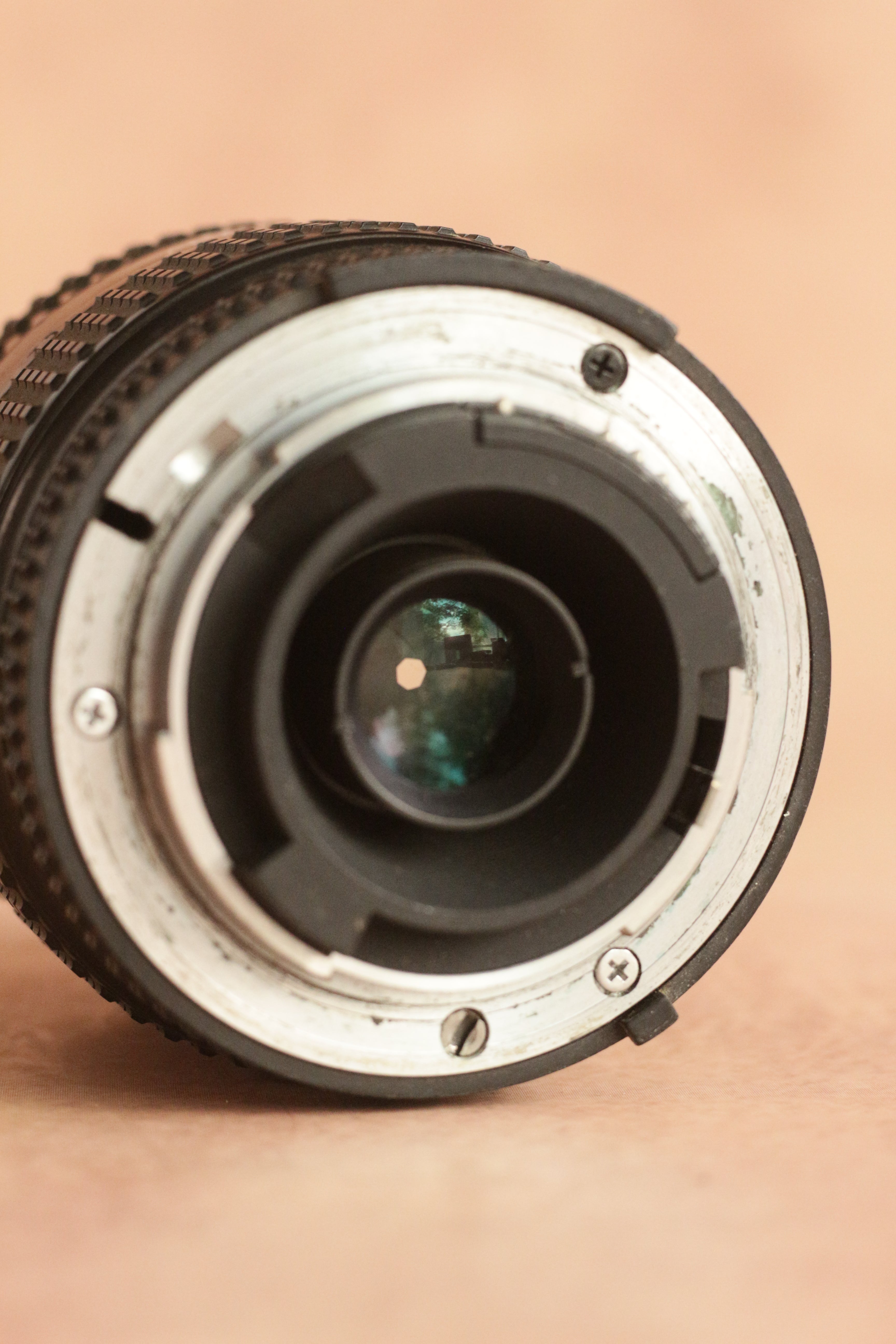Nikon F65 + Nikkor AF 35-70mm F3.5-4.5 + battery grip