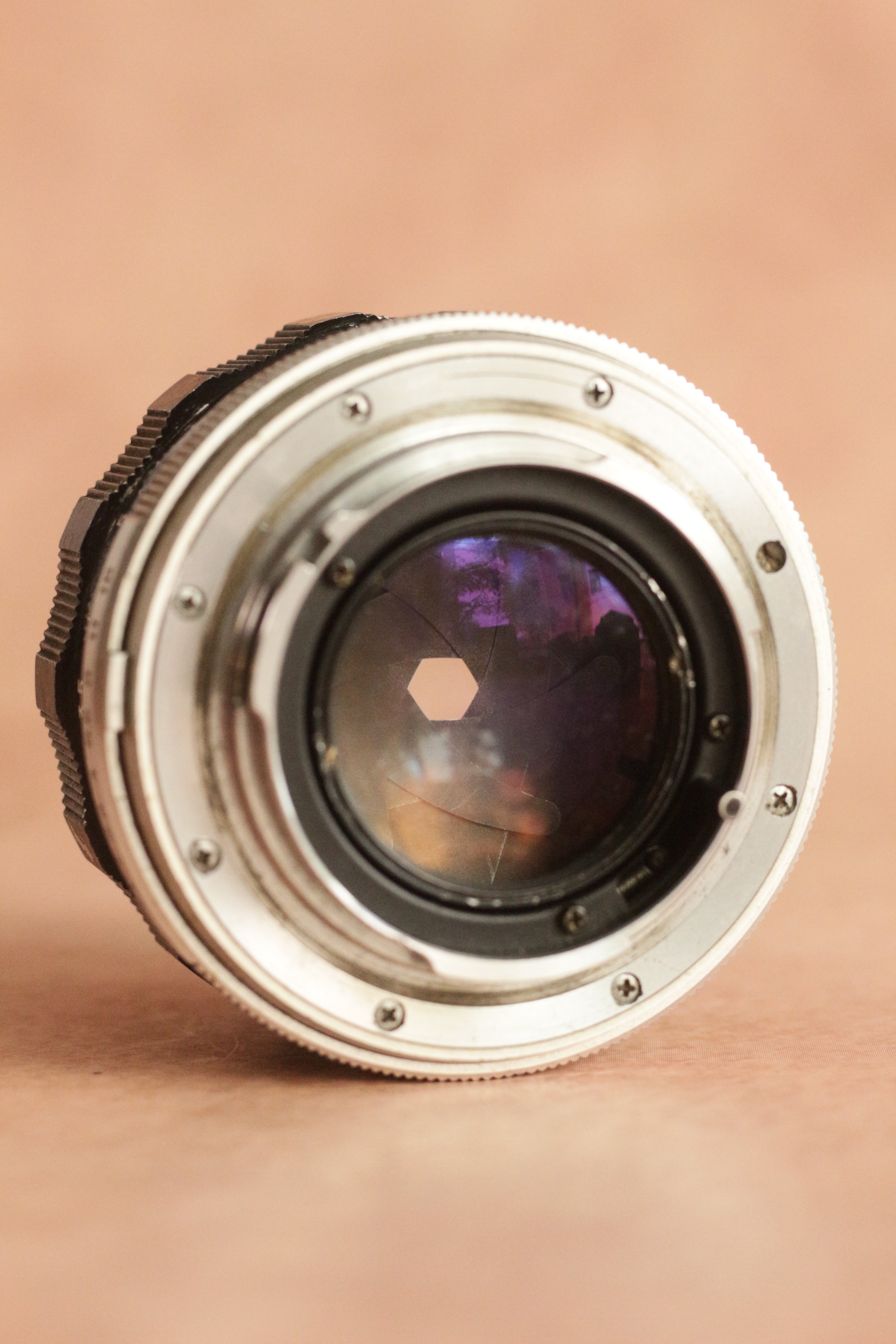 Minolta SRT 101 + MC Rokkor-PF 58mm F1.4