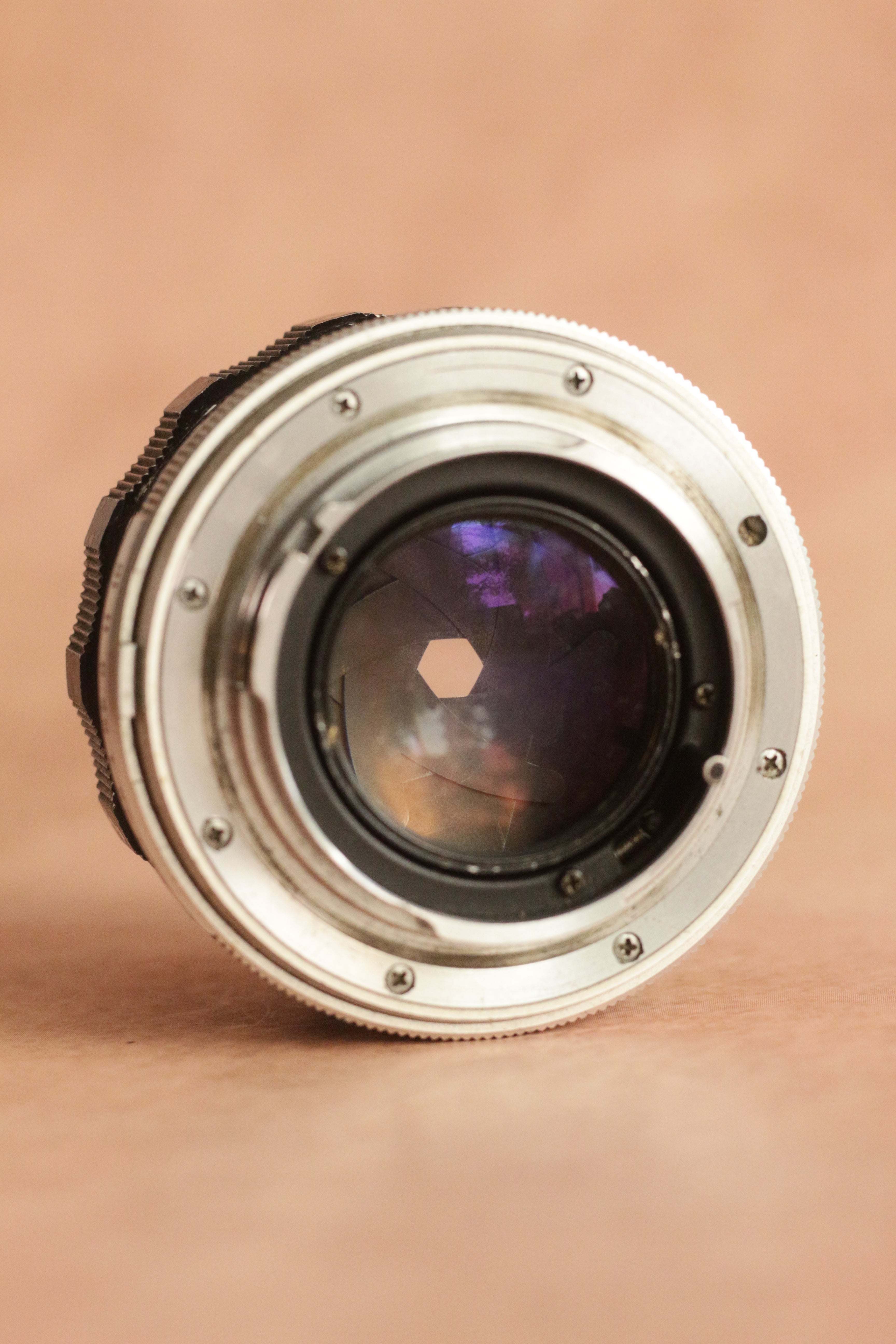 Minolta SRT 101 + MC Rokkor-PF 58mm F1.4