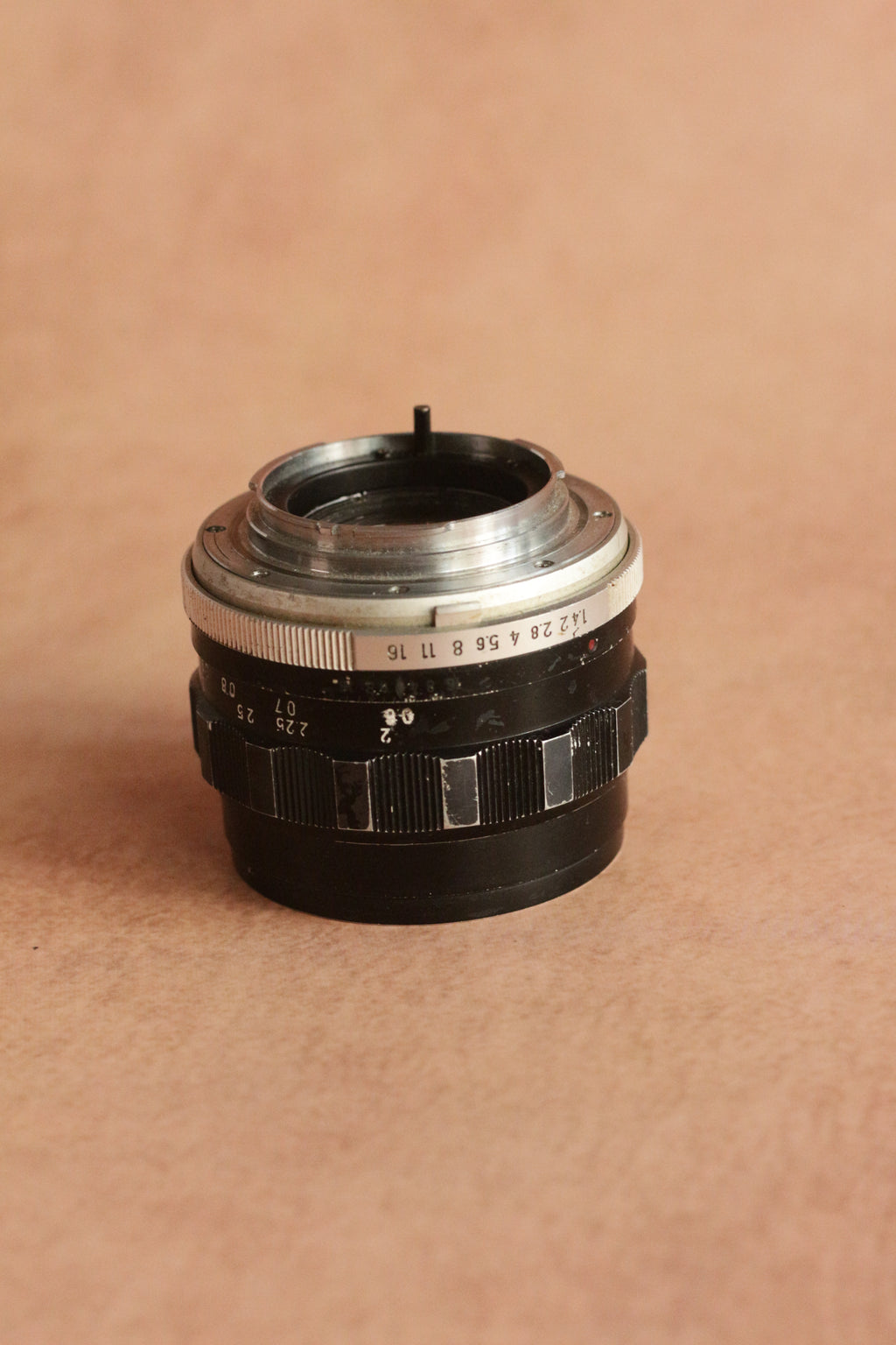Minolta SRT 101 + MC Rokkor-PF 58mm F1.4