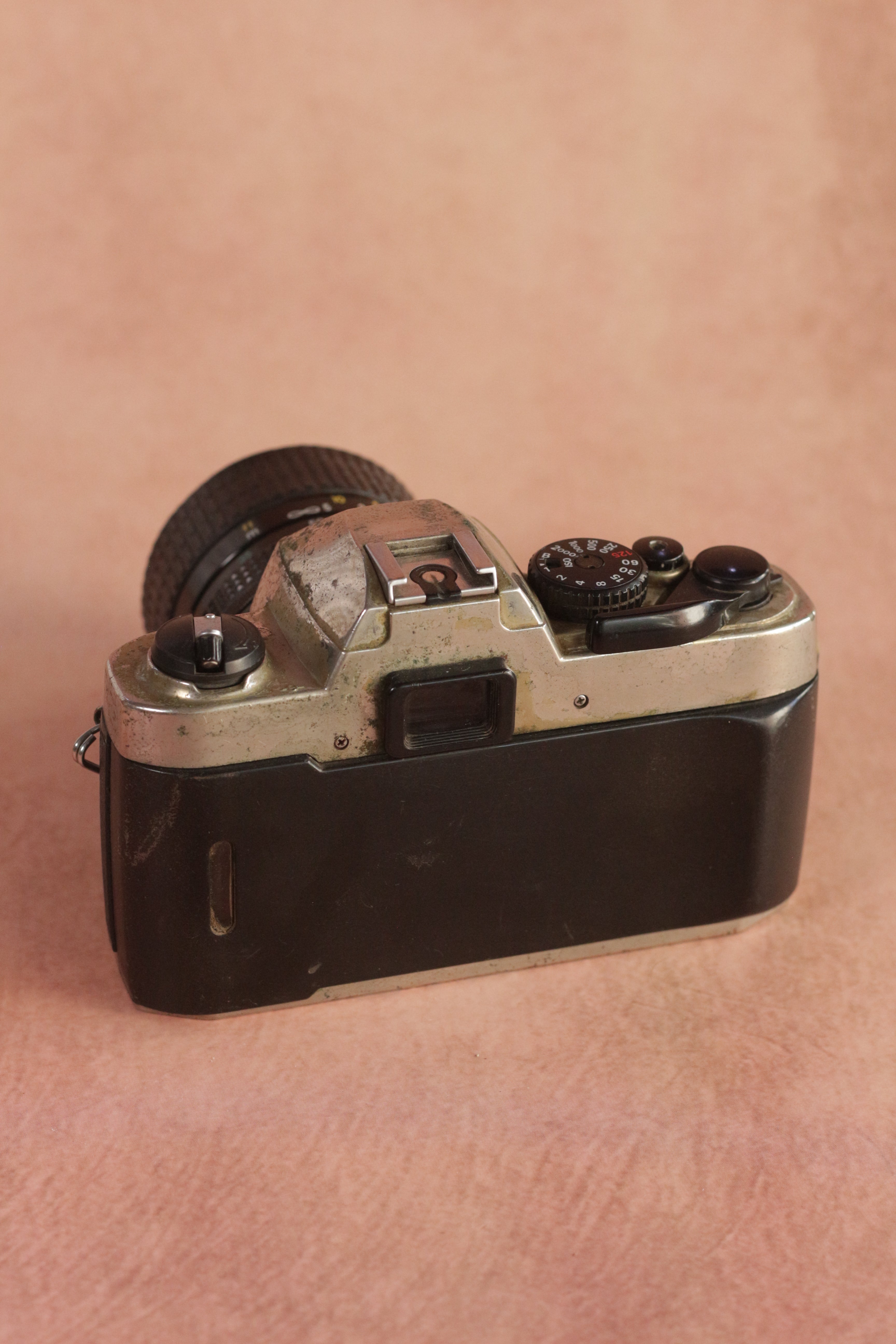 Nikon FM10 + Nikkor 35-70mm zoom